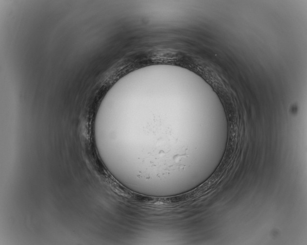 X0000095930755200801110918