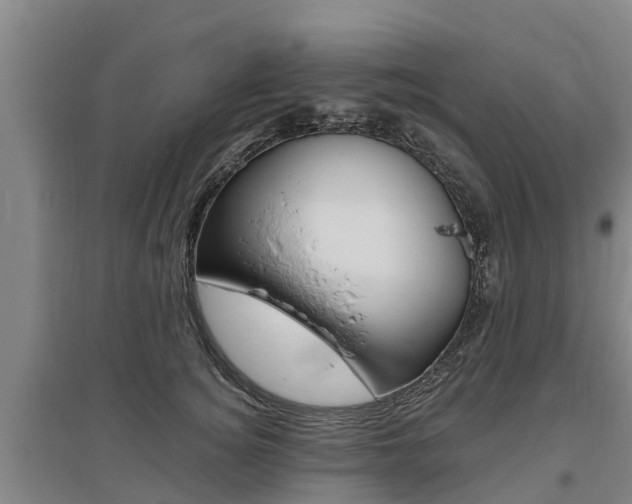 X0000095930756200801110918