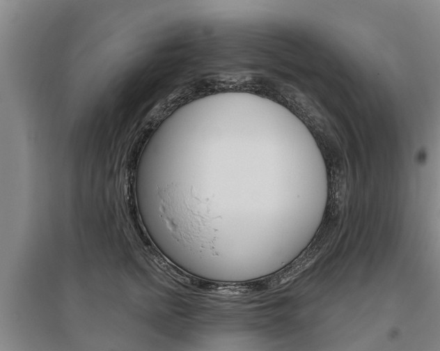 X0000095930758200801110918