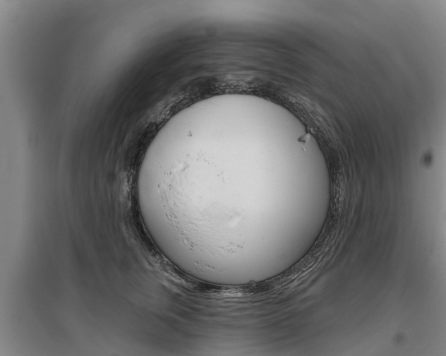 X0000095930759200801110918