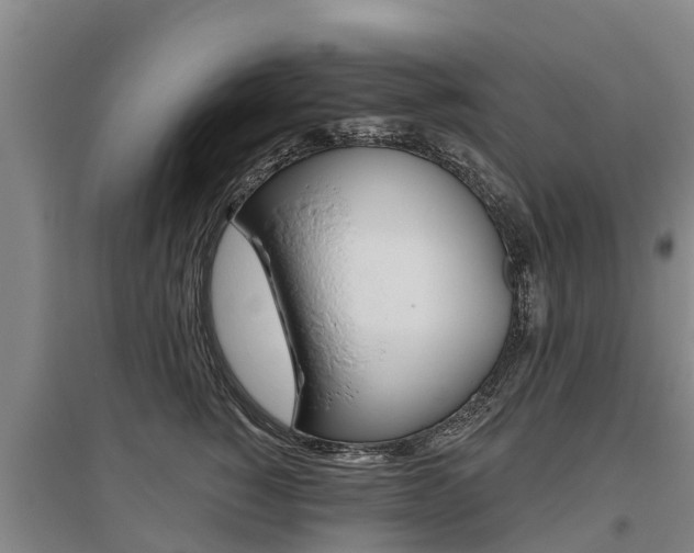X0000095930760200801110918