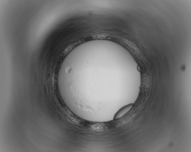 X0000095930761200801110918