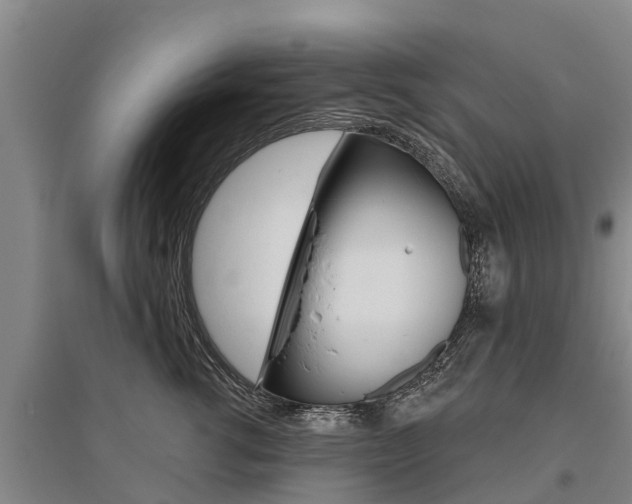 X0000095930762200801110918