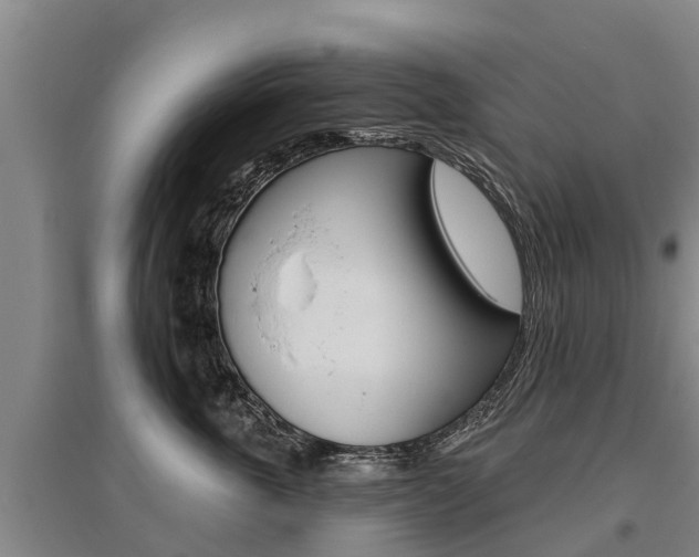 X0000095930763200801110918