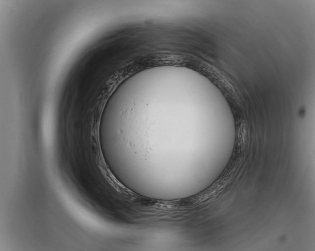 X0000095930764200801110918