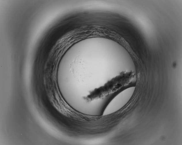 X0000095930765200801110918