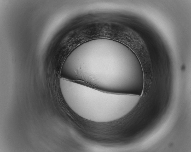 X0000095930766200801110918
