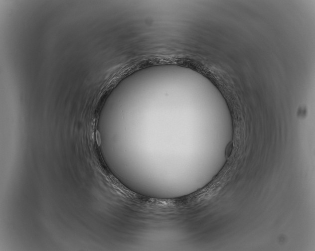 X0000095930768200801110918