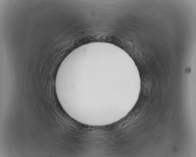 X0000095930769200801110917