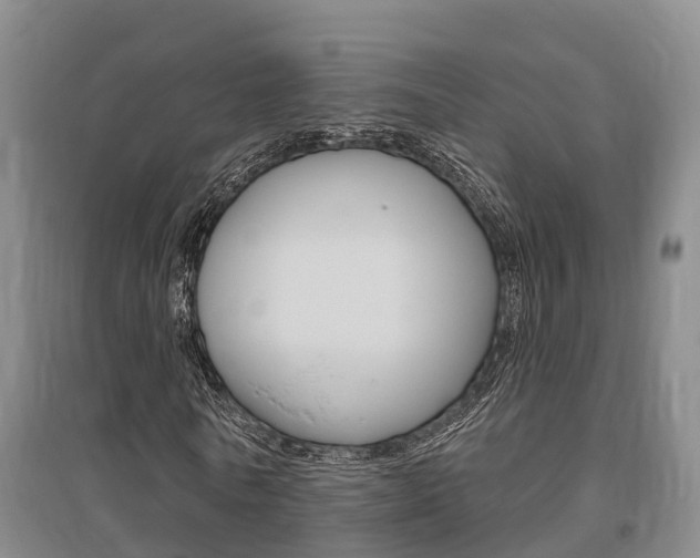 X0000095930770200801110917