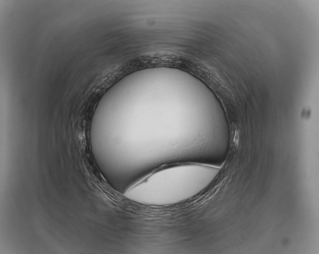 X0000095930771200801110917