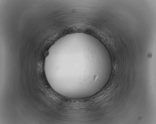 X0000095930772200801110917