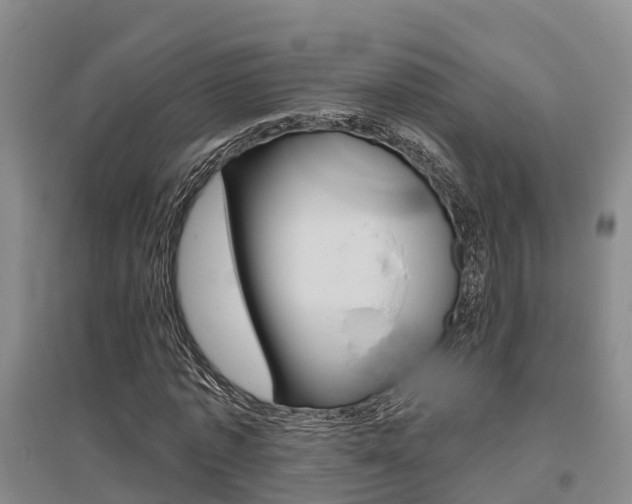 X0000095930773200801110917