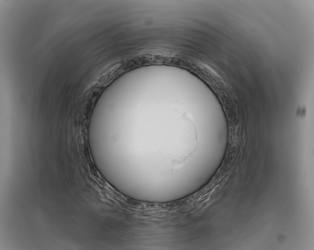 X0000095930774200801110917