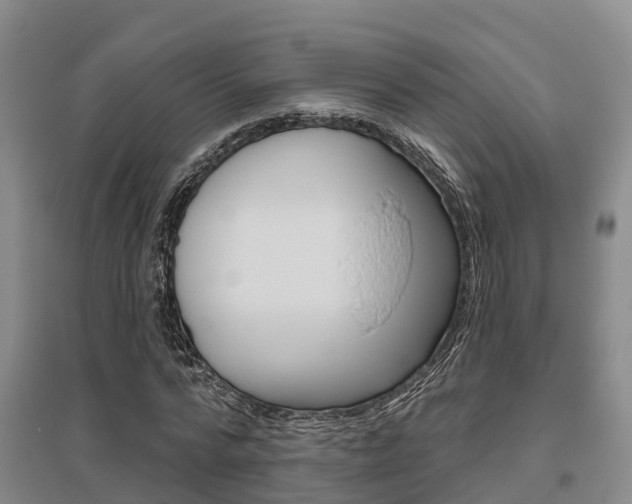X0000095930776200801110917