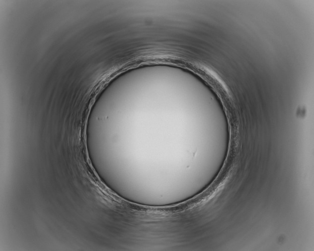 X0000095930777200801110917
