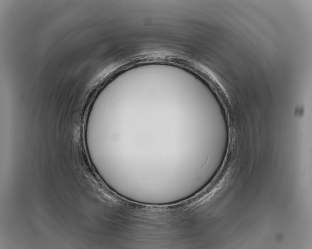 X0000095930778200801110917