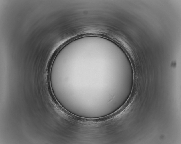 X0000095930779200801110917