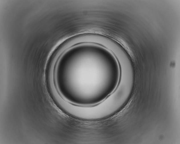 X0000095930780200801110917