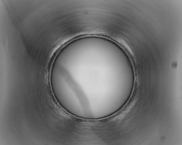 X0000095930781200801110917