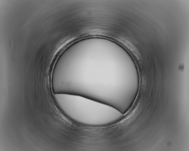 X0000095930782200801110917