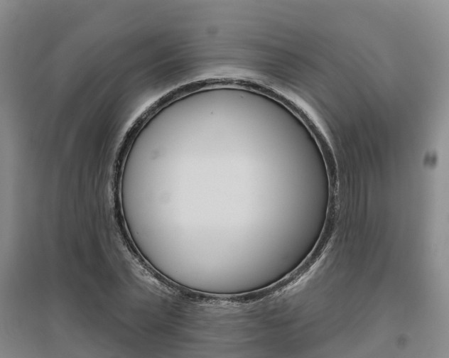 X0000095930783200801110917