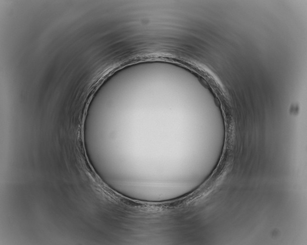 X0000095930785200801110917