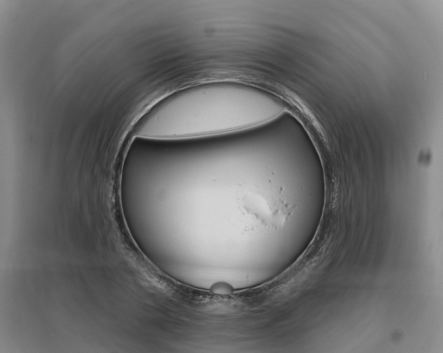 X0000095930786200801110917