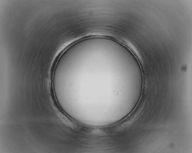 X0000095930787200801110917