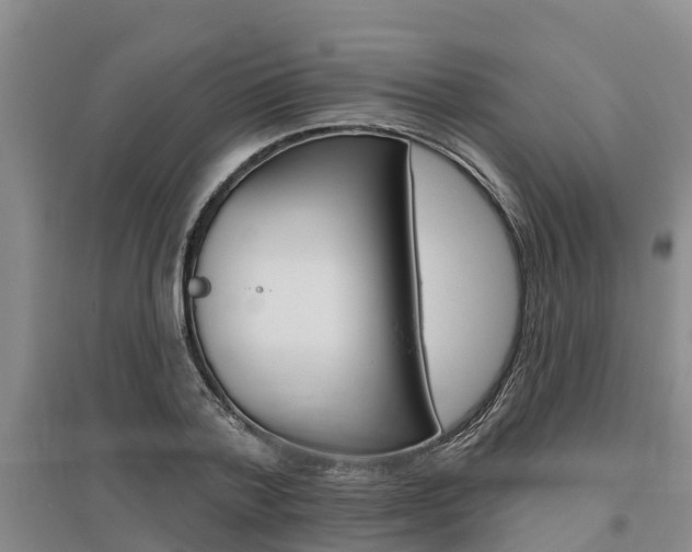 X0000095930788200801110917