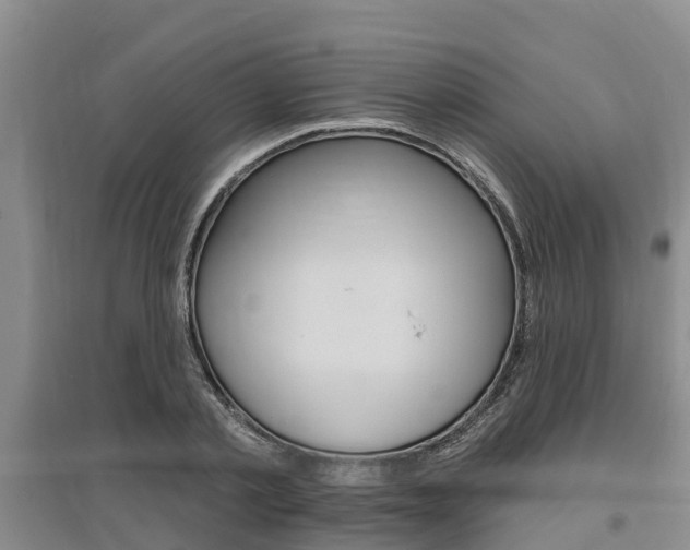 X0000095930789200801110917