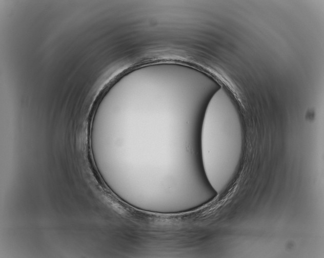 X0000095930790200801110917