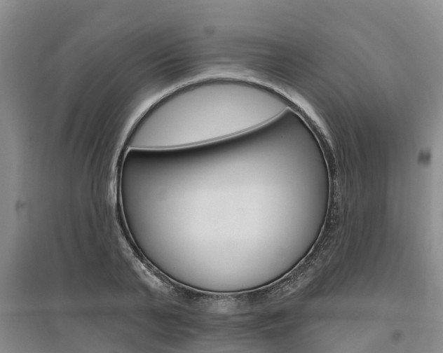 X0000095930791200801110917