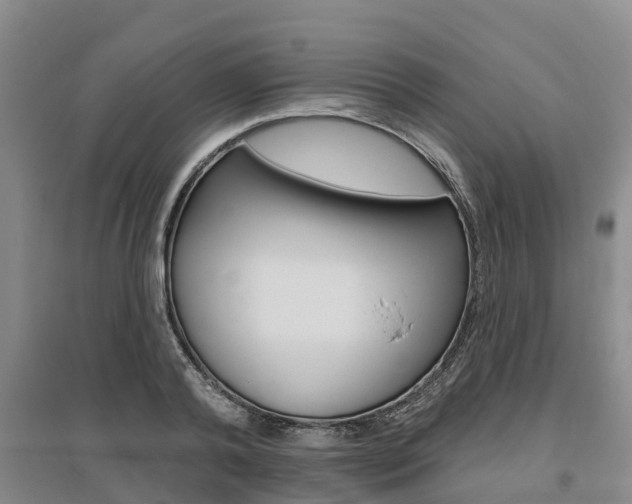 X0000095930792200801110917