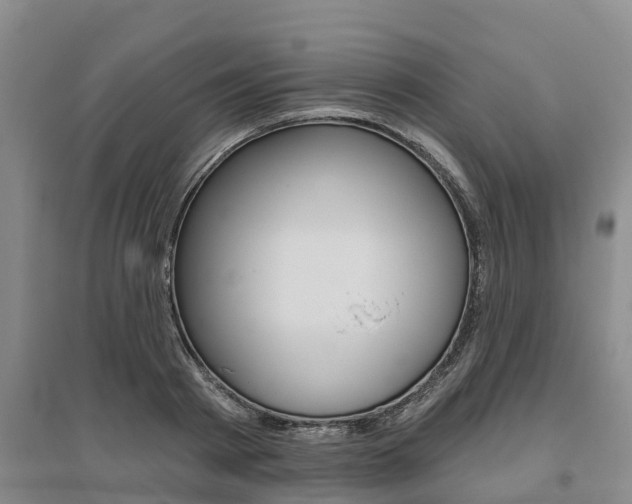 X0000095930793200801110917