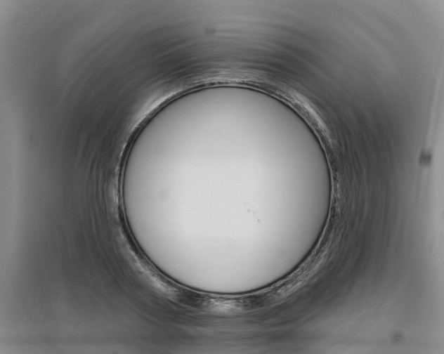 X0000095930794200801110917