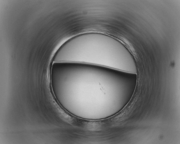 X0000095930796200801110917