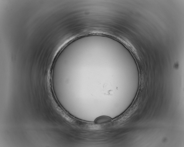 X0000095930798200801110917