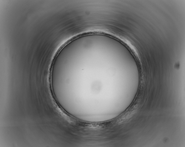 X0000095930799200801110917