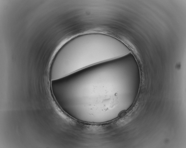 X0000095930800200801110917