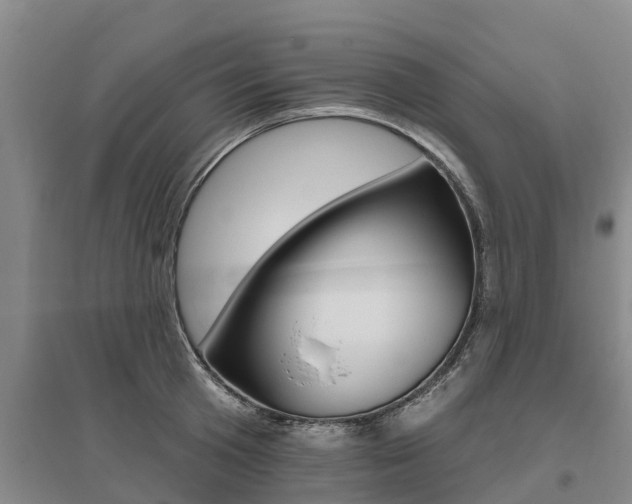 X0000095930801200801110917