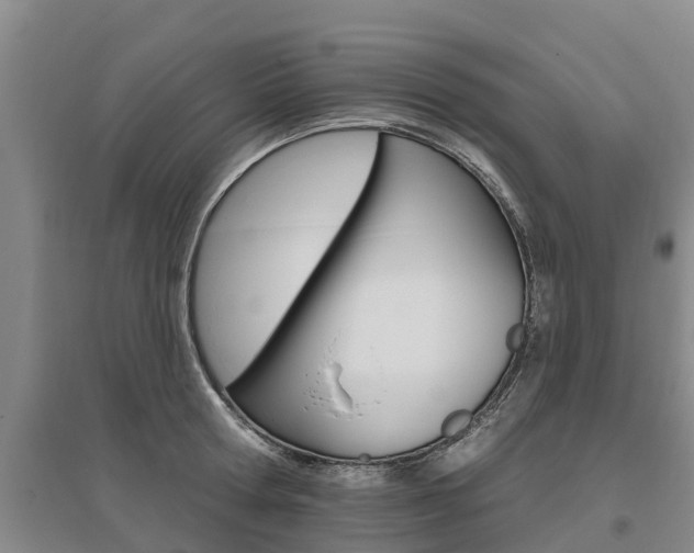 X0000095930802200801110917