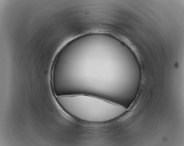 X0000095930803200801110917