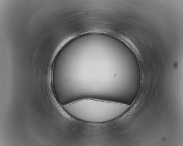 X0000095930804200801110917