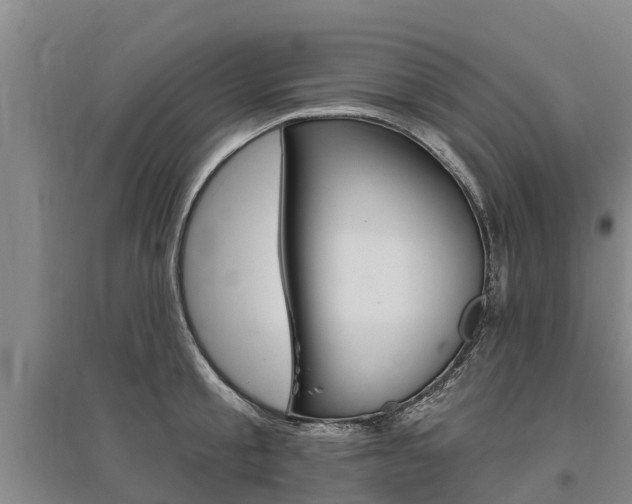 X0000095930805200801110917