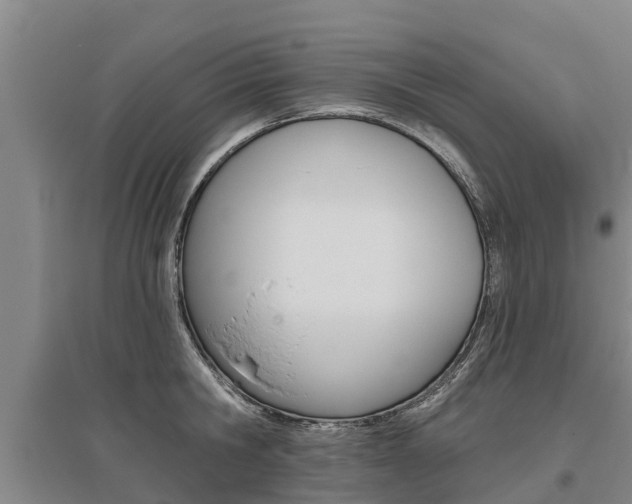 X0000095930806200801110917