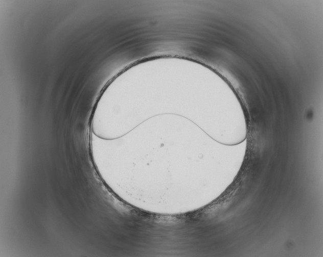 X0000095930807200801110917