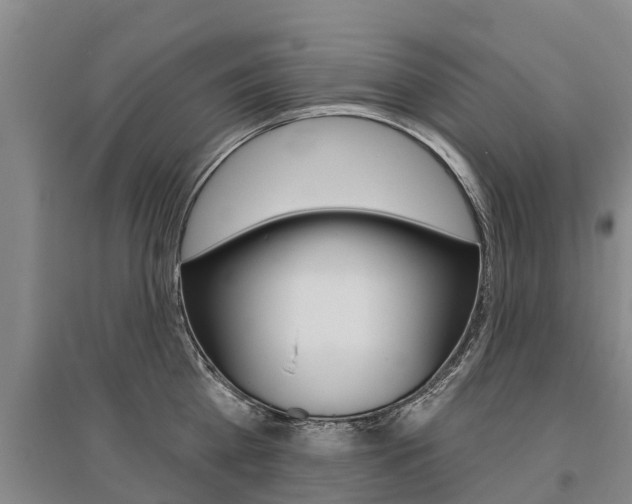 X0000095930809200801110917