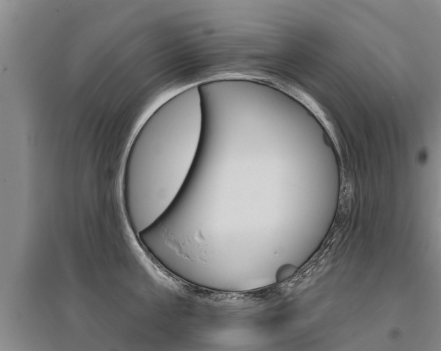 X0000095930811200801110917