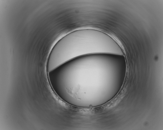 X0000095930813200801110917